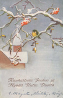 VOGEL Vintage Ansichtskarte Postkarte CPSMPF #PKG958.A - Oiseaux
