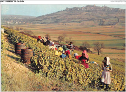 AGOP11-0916-18 - Le Sancerrois - Les Vendanges A - CHAVIGNOL - Sancerre