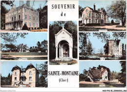 AGOP10-0862-18 - Souvenir De - SAINTE-MONTAINE - Cher - La Chapelle De Ste-montaine Patronne De La Sologne - Vierzon