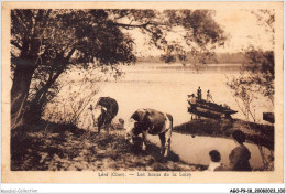 AGOP9-0800-18 - LERE - Cher - Les Bords De La Loire - Lere