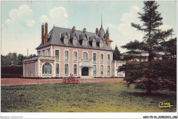 AGOP9-0793-18 - NANCAY - Cher - Chateau Du Bas-boulay - Nançay