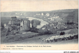 AGPP1-0012-27 - LES-ANDELYS - Panorama Du Chateau Gaillard Et Du Petit-andely - Les Andelys