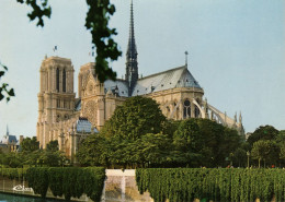 PARIS - Notre-Dame De Paris Vue Des Quais De La Seine - Notre-Dame De Paris