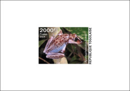 TOGO 2024 DELUXE PROOF - TOXIC SPECIES - FROG FROGS GRENOUILLES GRENOUILLE - MNH - Ranas