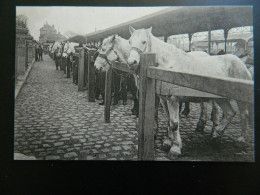 LES MARCHES DE PARIS                        LE MARCHE AUX CHEVAUX - District 13