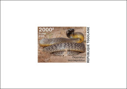 TOGO 2024 DELUXE PROOF - TOXIC SPECIES - SNAKE SNAKES REPTILES SERPENTS - Snakes