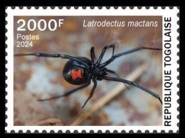 TOGO 2024 STAMP 1V 2000F - TOXIC SPECIES - SPIDERS SPIDER BLACK WIDOW VEUVE NOIRE - MNH - Araignées