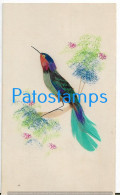 228733 ART ARTE BIRD WITH FEATHER ON THE BRANCH WITH POSTAL POSTCARD - Ohne Zuordnung