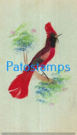 228734 ART ARTE BIRD WITH FEATHER ON THE BRANCH WITH POSTAL POSTCARD - Non Classificati