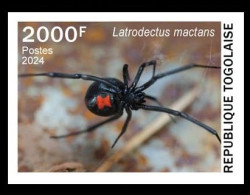 TOGO 2024 STAMP 1V IMPERF 2000F- TOXIC SPECIES - SPIDERS SPIDER BLACK WIDOW VEUVE NOIRE - MNH - Araignées