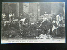 MARCHE AUX BESTIAUX DE LA VILLETTE                   ECHAUDOIR DE BOEUFS          L'ABATTAGE - Paris (19)