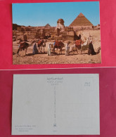 EGYPTE Carte Postale Sphinx Et Pyramides GIZEH (3 Photos) - Guiza