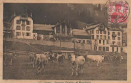 LEYSSIN, PENSION PALETTAZ ET BUANDERIE, TROUPEAU DE VACHES  REF 16260 - Leysin