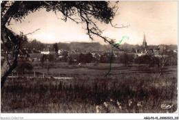 AGQP6-0440-41 - LA FERTE-SAINT-CYR - Vue Générale - Blois