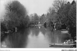 AGQP4-0299-41 - MONTOIRE-SUR-LE-LOIR - Bords Du Loir - Montoire-sur-le-Loir