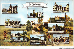 AGQP4-0296-41 - LA SOLOGNE - Paysages De Sologne - Blois