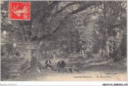 AGQP4-0287-41 - LAMOTTE-BEUVRON - Un Sous-bois - Lamotte Beuvron