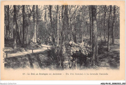 AGQP8-0615-92 - Le Bois De BOULOGNE En Automne - Du Pré Catelan A La Grande Cascade  - Boulogne Billancourt