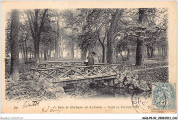 AGQP8-0610-92 - Le Bois De BOULOGNE En Automne - Vers Le Palmarium  - Boulogne Billancourt