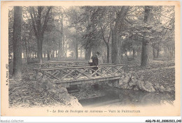 AGQP8-0609-92 - Le Bois De BOULOGNE En Automne - Vers Le Palmarium  - Boulogne Billancourt