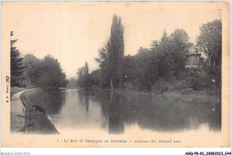 AGQP8-0611-92 - Le Bois De BOULOGNE En Automne - Autour Du Grand Lac  - Boulogne Billancourt