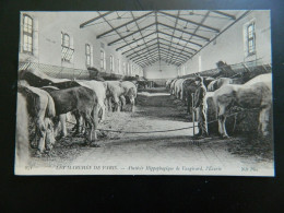 LES MARCHES DE PARIS                ABATTOIR HIPPOPHAGIQUE DE VAUGIRARD              L'ECURIE - Paris (15)