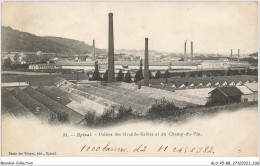 ALDP5-88-0454 - EPINAL - Usines Des Grands-sables Et Du Champ-du-pin - Epinal