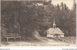 ALDP1-88-0067 - VENTRON - Chapelle Et Ermitage Du Frère Joseph - Epinal