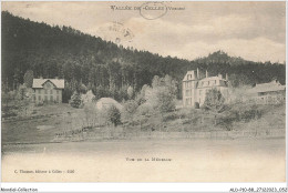 ALDP10-88-0927 - Vallée De CELLES - Vue De La Ménelle - Saint Die