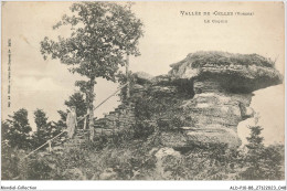 ALDP10-88-0925 - Vallée De CELLES - Le Coquin - Saint Die