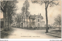 ALDP9-88-0830 - RAMBERVILLERS - Route D'épinal - Rambervillers