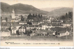 ALDP8-88-0764 - REMIREMONT - Vue Générale - Le Saint-mont Et Vallée De La Moselle - Remiremont