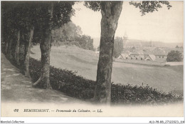 ALDP8-88-0758 - REMIREMONT - Promenade Du Calvaire - Remiremont