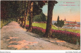 ALDP8-88-0757 - REMIREMONT - La Promenade Du Calvaire - Remiremont