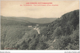 ALDP6-88-0547 - LA SCHLUCHT - Vue à Vol D'oiseau - Gerardmer