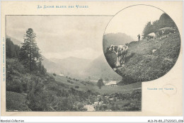 ALDP6-88-0504 - Vallée Du VALTIN - Saint Die