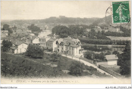 ALDP11-88-1104 - EPINAL - Panorama Pris Du Chemin Des Princes - Epinal