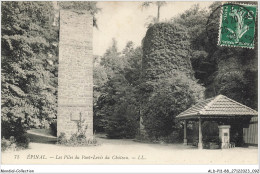 ALDP11-88-1047 - EPINAL - Les Piles Du Pont-levis Du Château - Epinal