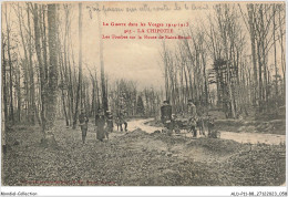 ALDP11-88-1030 - LA CHIPOTTE - Les Tombes Sur La Route De Saint-benoît - Rambervillers