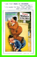 HUMOUR, COMIC - ARE THEY MEN OR WOMEN, NUDIST COLONY -  TRAVEL IN 1956 - BAMFORTH CO - No 1220 - Humor