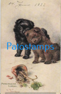 228757 ART ARTE SIGNED MAUD WEST WATSON COUPLE DOG LOOKING AT THE BROKEN POT POSTAL POSTCARD - Other & Unclassified