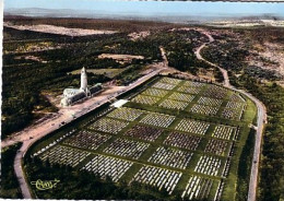 Verdun Ossuaire Et Cimetière (militaire) De Douaumont La Tranchée Des Baïonnettes Et Le Fort Vue Aérienne - Verdun