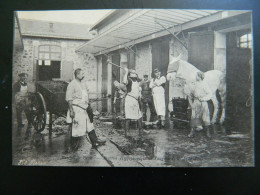 LES MARCHES DE PARIS                ABATTOIR HIPPOPHAGIQUE DE VAUGIRARD       LES ECHAUDOIRS - Paris (15)