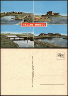 Ansichtskarte Hallig Hooge 4 Bild Brücke, Häuser 1981 - Autres & Non Classés