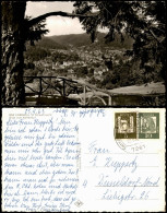 Ansichtskarte Bad Liebenzell Blick Vom Kaffeehof 1966 - Autres & Non Classés