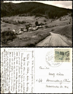 Schluchsee Panorama Blick Äeule Idyllisches Berg-Dörfchen 1969 - Schluchsee