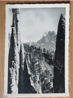 CARTOLINA ITALIA 1961 BOLZANO RIVELLONI SUL RENON  DOLOMITI  Italy Postcard ITALIEN Ansichtskarten - Bolzano (Bozen)
