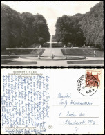 Ansichtskarte Schwetzingen Deutschlands Schönster Schloßgarten 1967 - Schwetzingen