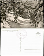 Ansichtskarte Bischofsgrüner Forst Ochsenkopf (Fichtelgebirge) Im Winter 1964 - Autres & Non Classés