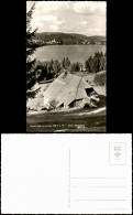 Ansichtskarte Titisee Beim Seehäusle 1963 - Other & Unclassified